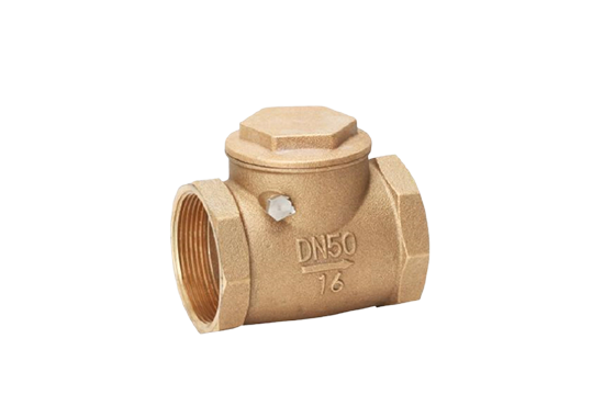 Bronze Check Valve