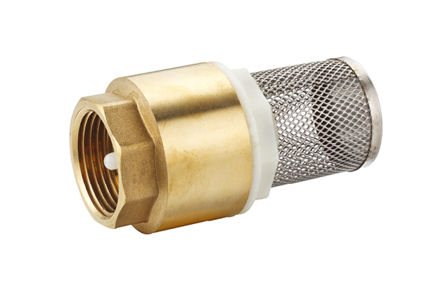 brass one way check valve