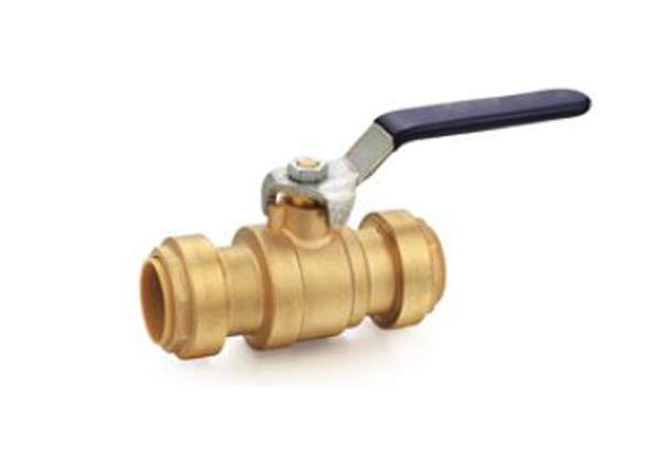 push ball valve 1