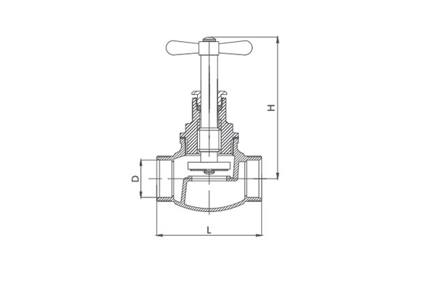 bronze globe valve for sale