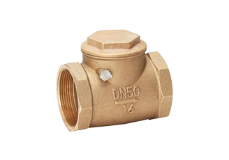 Bronze Check Valve